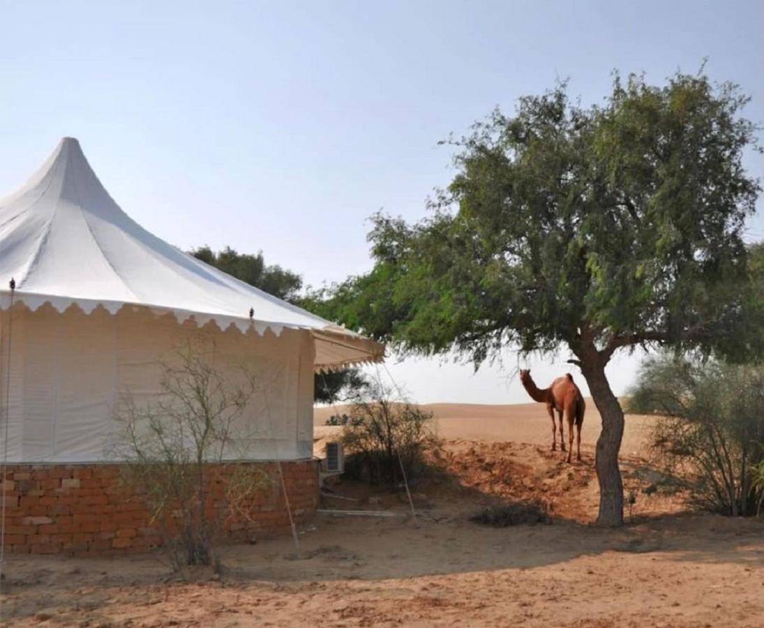 فندق Wild Heritage Desert Camp جيلسامر المظهر الخارجي الصورة